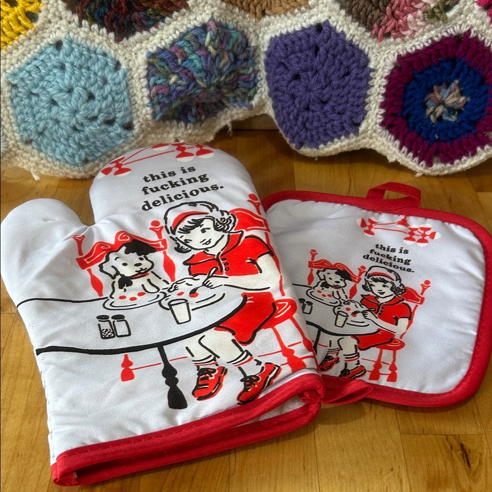 NWT snarky potholder set, “this is f’ing delicious”